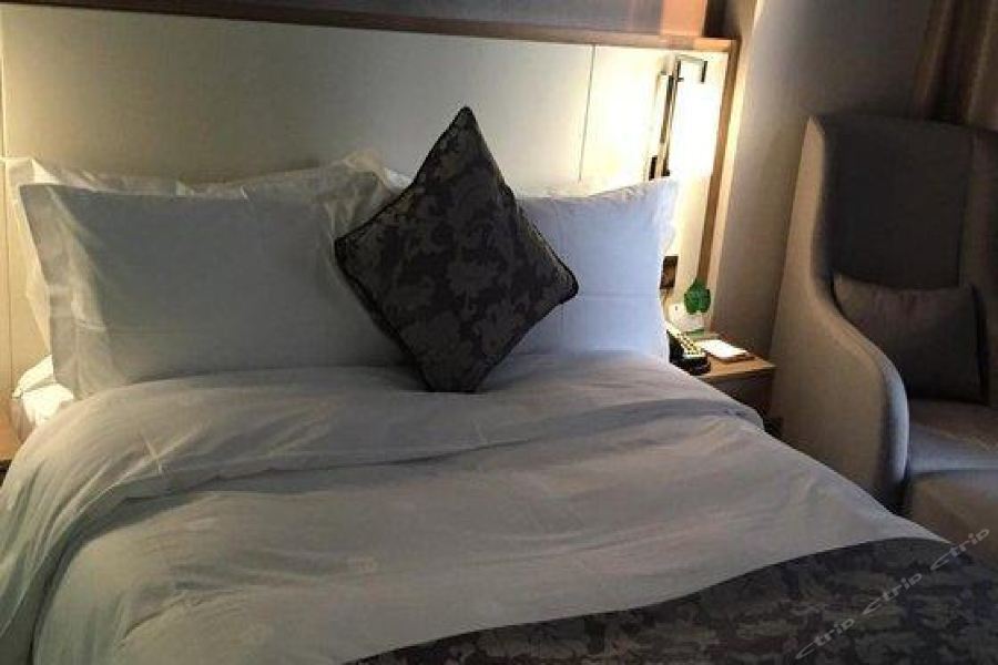 Hongdu Hotel Shenzhen Buitenkant foto